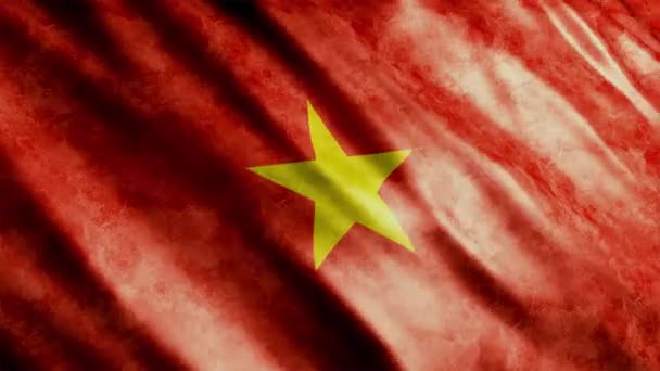 Vietnam National Flag Grunge Animation Hög Kvalitet Viftande Flagga Animation — Stockvideo
