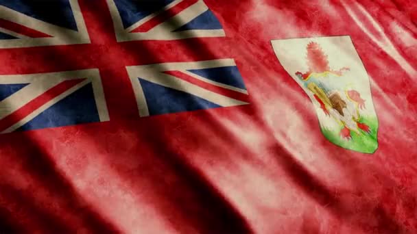 Bermuda National Flag Grunge Animation High Quality Waving Flag Animation — Stock Video