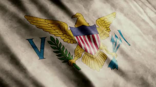 Verenigde Staten Maagdeneilanden National Flag Grunge Animation High Quality Waving — Stockvideo