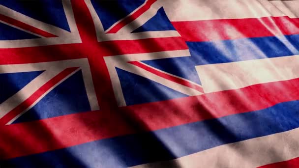 Hawaii State Flag Usa Grunge Animation High Quality Waving Flag — Stock Video