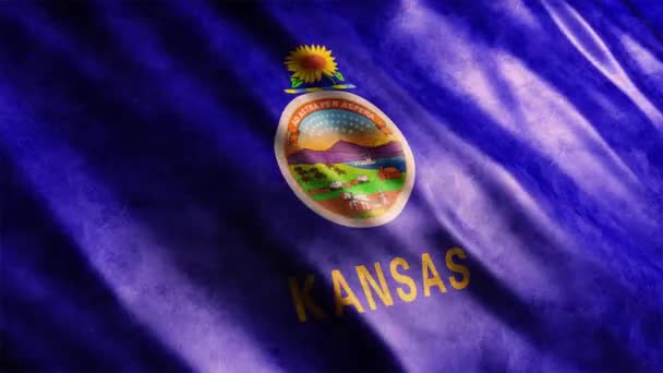 カンザス州旗 グラウンジアニメーション シームレスループで高品質のウィービングフラッグアニメーション 必要に応じて期間を延長 — ストック動画