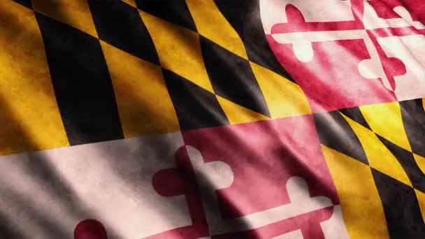 Maryland State Flag Ηπα Grunge Animation High Quality Waving Flag — Αρχείο Βίντεο