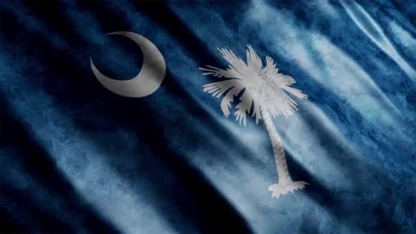 South Carolina State Flag Usa Grunge Animation High Quality Waving — Stok Video