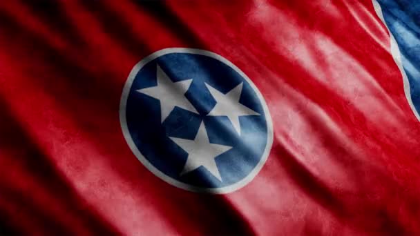 Tennessee State Flag Usa Grunge Animation High Quality Waving Flag — Stock Video