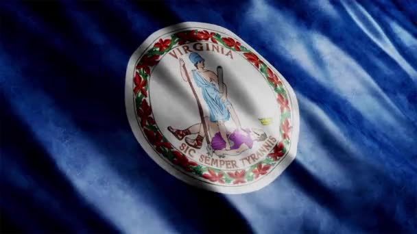 Virginia Eyalet Bayrağı Usa Grunge Animasyonu Yüksek Kalite Dalgalanan Bayrak — Stok video