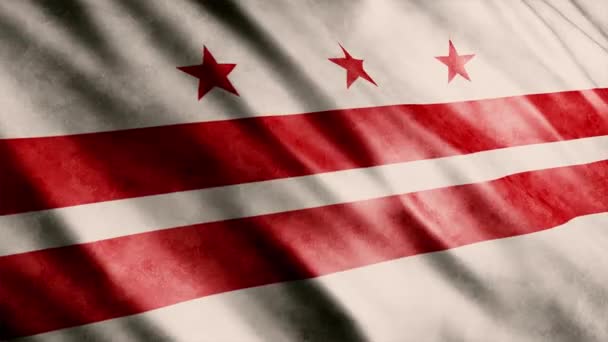 Washington Eyalet Bayrağı Usa Grunge Animasyonu Yüksek Kalite Dalgalanan Bayrak — Stok video