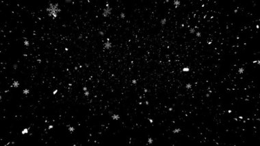 Gerçekçi Kar ve Kar Taneleri, Kusursuz Döngü, Yüksek Kalite Kış ve Noel Teması Canlandırması ile animasyonu, Kusursuz Döngü ile gereken süreyi uzatır