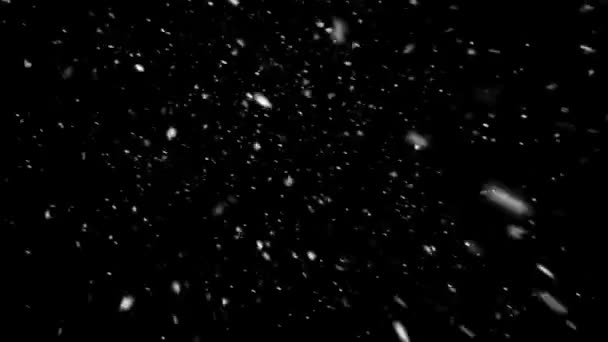Realistické Sněhové Vločky Animace Bezešvé Smyčky Vysoce Kvalitní Zimní Vánoční — Stock video