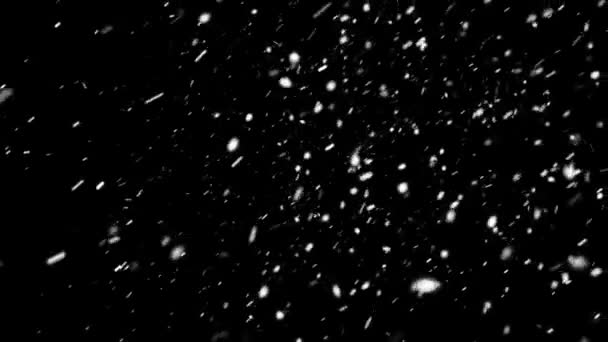 现实的冰雪片动画与无缝回圈 高品质的冬季和圣诞节主题动画 延长所需的时间与无缝回圈 — 图库视频影像