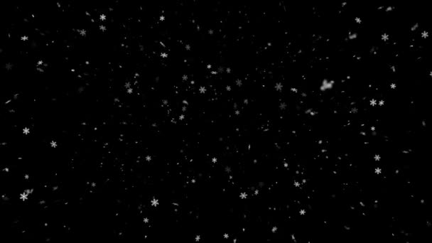 Ρεαλιστική Χιόνι Και Νιφάδες Χιονιού Animation Απρόσκοπτη Βρόχο Υψηλής Ποιότητας — Αρχείο Βίντεο