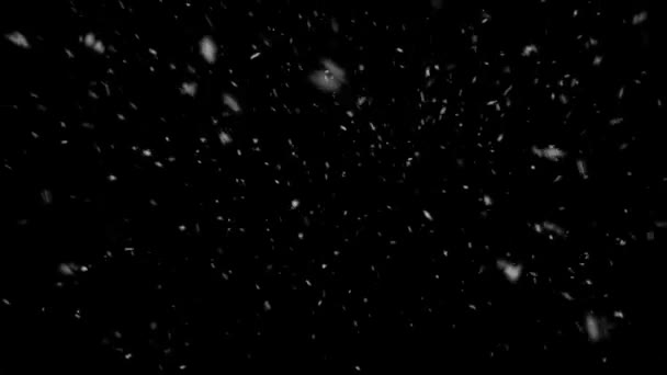 Animação Realista Neve Flocos Neve Com Loop Sem Costura Inverno — Vídeo de Stock