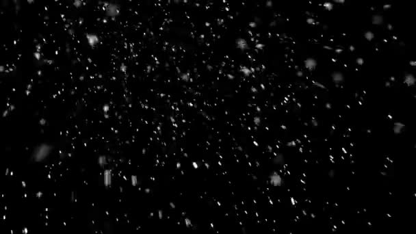 Animación Realista Nieve Copos Nieve Con Bucle Sin Costuras Animación — Vídeo de stock