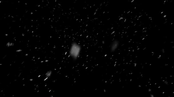 Realistiska Snö Och Snöflingor Animation Med Sömlös Loop Hög Kvalitet — Stockvideo