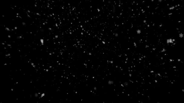 Animação Realista Neve Flocos Neve Com Loop Sem Costura Inverno — Vídeo de Stock
