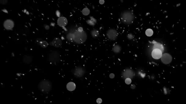 Animazione Realistica Neve Fiocchi Neve Con Loop Senza Soluzione Continuità — Video Stock