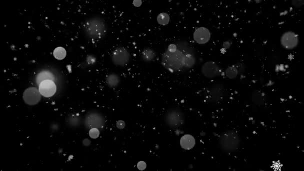 Animazione Realistica Neve Fiocchi Neve Con Loop Senza Soluzione Continuità — Video Stock