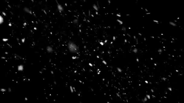 Animación Realista Nieve Copos Nieve Con Bucle Sin Costuras Animación — Vídeos de Stock