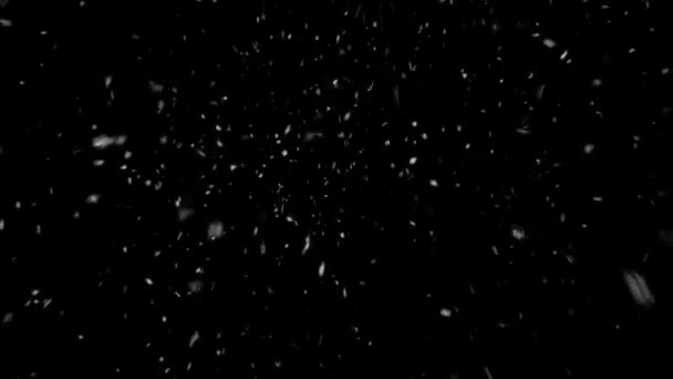 Мультфильм Снег Подснежники Бесшовной Петлей Высококачественной Зимней Рождественской Анимацией Продлением — стоковое видео