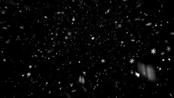 Realistické Sněhové Vločky Animace Bezešvé Smyčky Vysoce Kvalitní Zimní Vánoční — Stock video