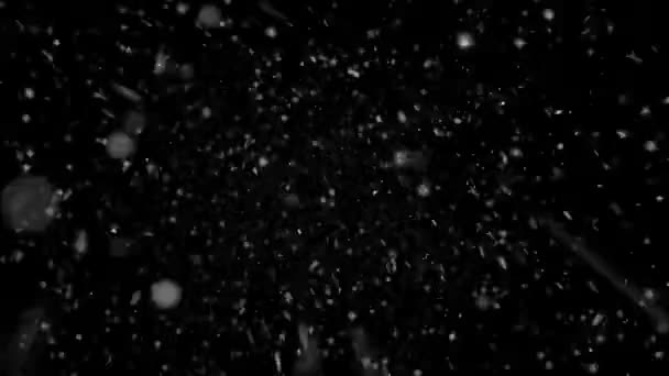 Animación Realista Nieve Copos Nieve Con Bucle Sin Costuras Animación — Vídeo de stock