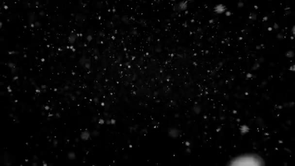 Realistische Schnee Und Schneeflocken Animation Mit Nahtloser Schleife Qualitativ Hochwertiger — Stockvideo