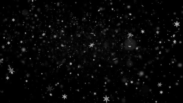 Realistisk Sne Snefnug Animation Med Problemfri Løkke Høj Kvalitet Vinter – Stock-video