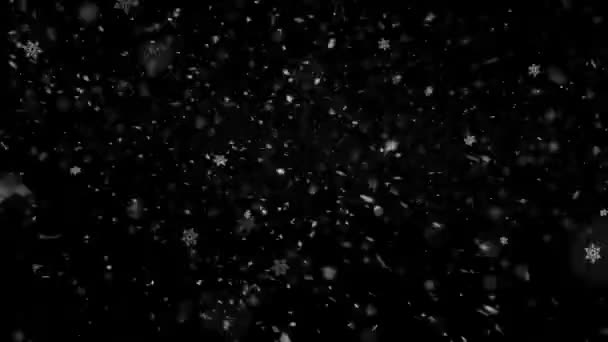 Gerçekçi Kar Kar Taneleri Kusursuz Döngü Yüksek Kalite Kış Noel — Stok video
