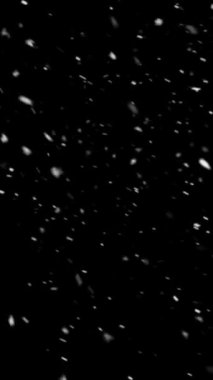 Dikey Gerçekçi Çözünürlük Kar ve Kar Taneleri, Gezici Videolar, Makaleler, Kış ve Noel Teması Canlandırması için Yararlı, Kusursuz Döngüsüz Döngü ile Süreyi Gerektiği Gibi Genişlet