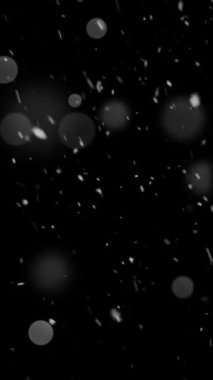 Dikey Gerçekçi Çözünürlük Kar ve Kar Taneleri, Gezici Videolar, Makaleler, Kış ve Noel Teması Canlandırması için Yararlı, Kusursuz Döngüsüz Döngü ile Süreyi Gerektiği Gibi Genişlet