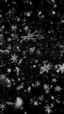 Dikey Gerçekçi Çözünürlük Kar ve Kar Taneleri, Gezici Videolar, Makaleler, Kış ve Noel Teması Canlandırması için Yararlı, Kusursuz Döngüsüz Döngü ile Süreyi Gerektiği Gibi Genişlet