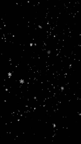Реалистичное Вертикальное Разрешение Снег Снежинки Анимации Бесшовной Петлей Полезно Мобильных — стоковое видео