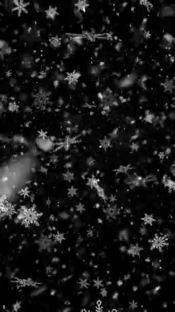 Realistische Verticale Resolutie Sneeuw Sneeuwvlokken Animatie Met Naadloze Lus Handig — Stockvideo