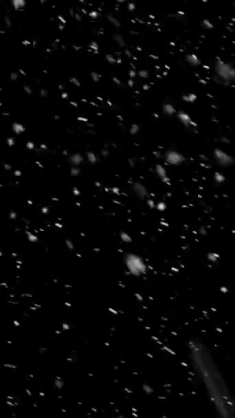 Resolução Vertical Realista Neve Flocos Neve Animação Com Loop Sem — Vídeo de Stock