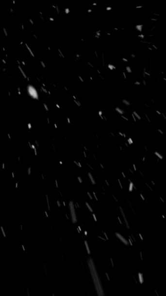 Resolução Vertical Realista Neve Flocos Neve Animação Com Loop Sem — Vídeo de Stock