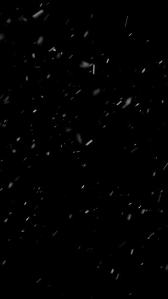 现实的垂直分辨率冰雪片动画与无缝循环 适用于移动视频 冬季和圣诞节主题动画 延长无缝线所需的时间 — 图库视频影像