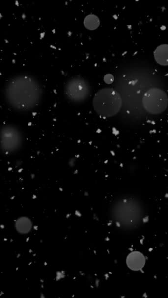 Realistické Vertikální Rozlišení Sníh Vločky Animace Bezešvé Smyčky Užitečné Pro — Stock video