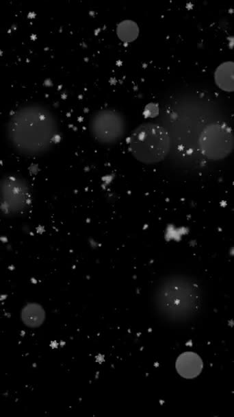 Risoluzione Verticale Realistica Animazione Con Fiocchi Neve Neve Con Loop — Video Stock