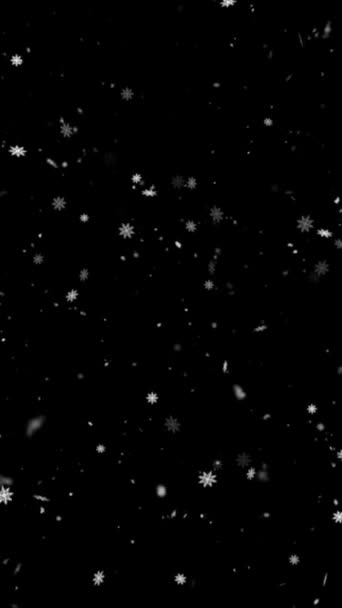 Realistic Vertical Resolution Snowflakes Snowflakes Animation Απρόσκοπτη Βρόχο Χρήσιμο Για — Αρχείο Βίντεο