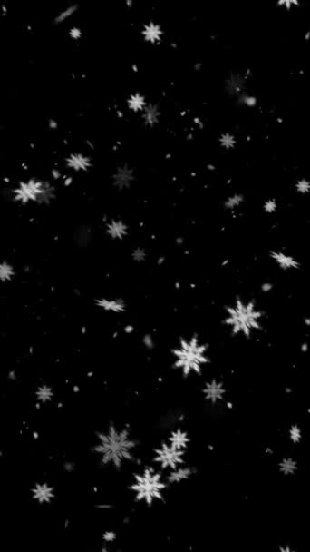 Realistyczna Pionowa Rozdzielczość Animacja Płatków Śniegu Śniegu Płynną Pętlą Przydatna — Wideo stockowe