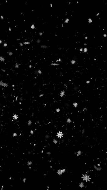 Реалістична Вертикальна Роздільна Здатність Анімація Снігу Сніжинок Безшовною Петлею Корисна — стокове відео