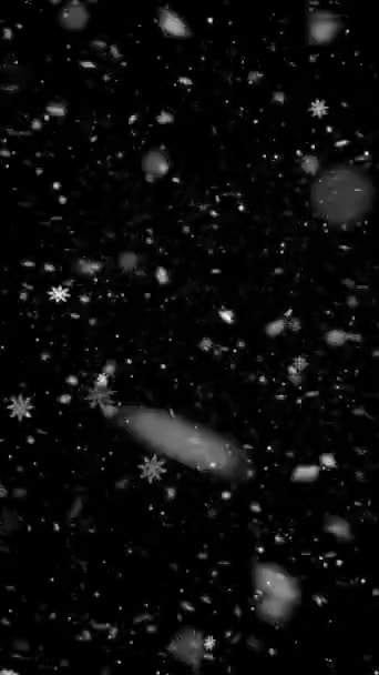 Realistische Vertikale Auflösung Schnee Und Schneeflocken Animation Mit Nahtloser Schleife — Stockvideo
