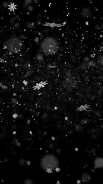 Реалістична Вертикальна Роздільна Здатність Анімація Снігу Сніжинок Безшовною Петлею Корисна — стокове відео