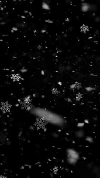 Realistische Verticale Resolutie Sneeuw Sneeuwvlokken Animatie Met Naadloze Lus Handig — Stockvideo