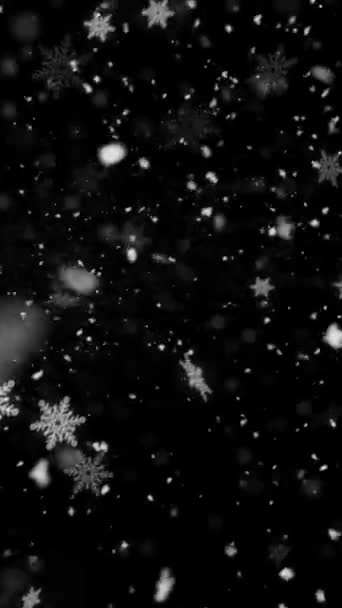 Realistisk Vertikal Upplösning Snö Och Snöflingor Animation Med Sömlös Loop — Stockvideo