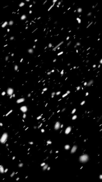 Realistische Vertikale Auflösung Schnee Und Schneeflocken Animation Mit Nahtloser Schleife — Stockvideo