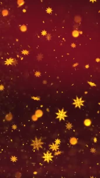 Mobile Vertical Resolution 1080X1920 Pixels Elegant Christmas Snow Snowflakes Background — Stock Video