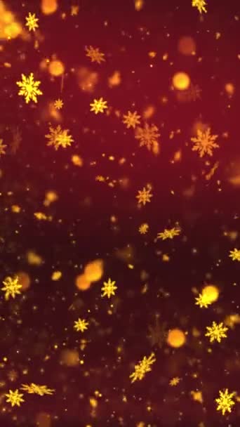 Mobile Vertical Resolution 1080X1920 Pixels Κομψό Χριστουγεννιάτικο Snow Snowflakes Background — Αρχείο Βίντεο
