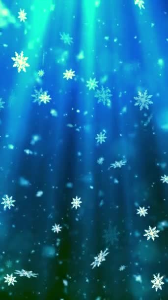 Mobile Vertikale Auflösung 1080X1920 Pixel Weihnachtszauber Schnee Und Schneeflocken Glitzert — Stockvideo