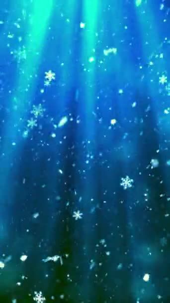 Mobile Vertical Resolution 1080X1920 Pixels Christmas Magic Snow Snowflakes Glitters — Stock Video
