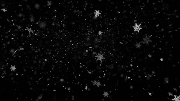 Gerçekçi Kar Düşüşü ve Kar Taneleri Arkaplan Görüntüsü, Yüksek Kaliteli Noel Karları ve Bu Tatil Mevsimleri için Kar Taneleri Arkaplanı